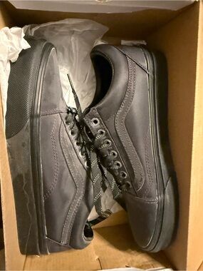 Vans Black Low-Top Skate Sneakers